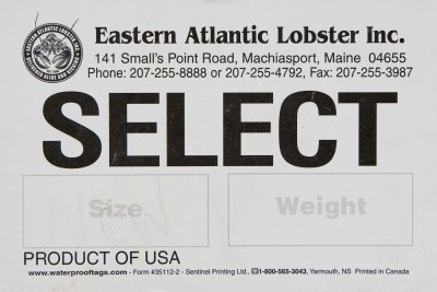 Eastern Atlantic Lobster - Select.jpg