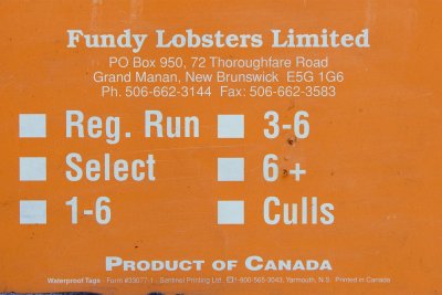 Fundy Lobsters Ltd - Orange Check.jpg