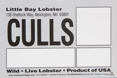 Little Bay Lobster - Culls.jpg