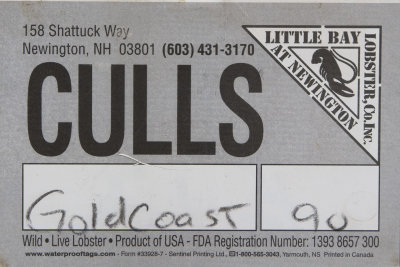 Little Bay Lobster LLC - Culls.jpg