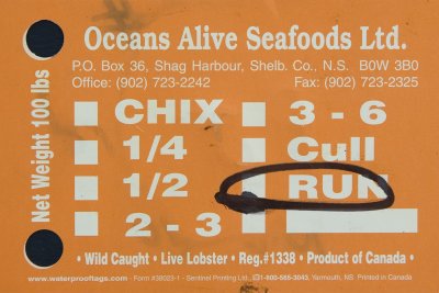 Ocrans Alive Seafood Ltd - Orange Generic.jpg