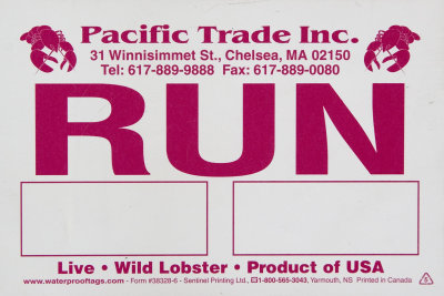 Pacific Trade Inc- Run.jpg