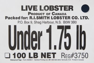 R.I. Smith Lobster Co Lmt Under 1.75 White.jpg