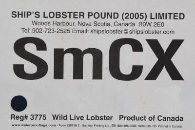 Ships Lobster Pound - Small Chix.jpg