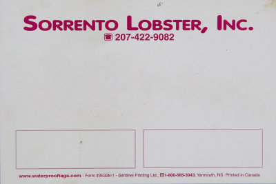 Sorrento Lobster Inc - Generic White.jpg