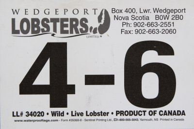 Wedgeport Lobsters - 4-6.jpg