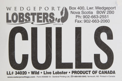 Wedgeport Lobsters - Culls.JPG