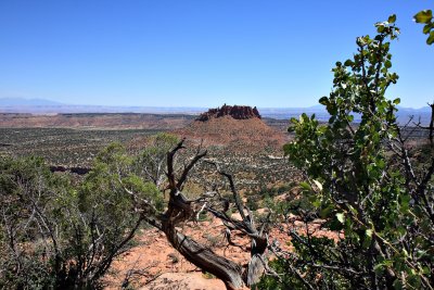 Bagpipe Butte - The Maze - Canyonlands N.P., UT