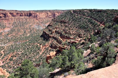 Flint Trail - The Maze - Canyonlands N.P., UT