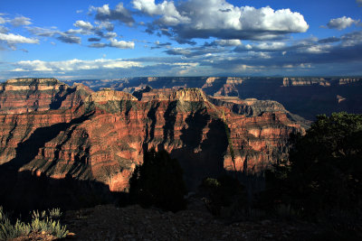 Point Sublime - North Rim Grand Canyon N.P., AZ