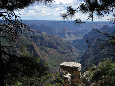 North Rim Grand Canyon N.P., AZ