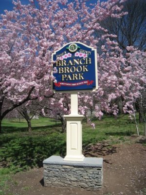 April 2009