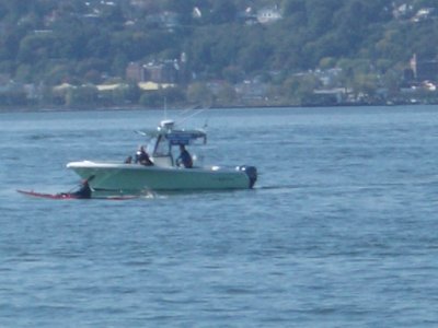 Hannah swimming next to boat