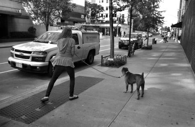 KRISTI YAMAGUCHI WALKS  HER DOG