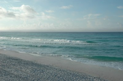 DSC_7892.JPG