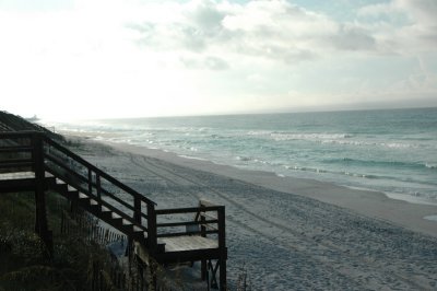DSC_7899.JPG