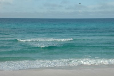 DSC_7911.JPG