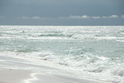 DSC_8225.JPG