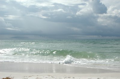 DSC_8289.JPG