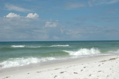 DSC_8336.JPG