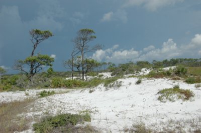 DSC_8628.JPG