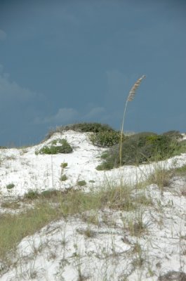 DSC_8636.JPG