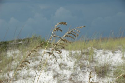 DSC_8641.JPG
