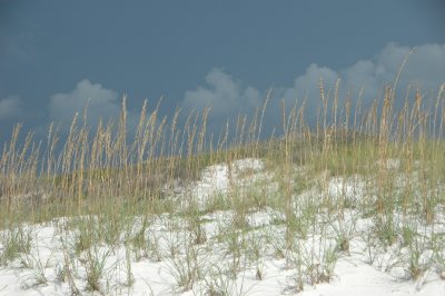 DSC_8651.JPG