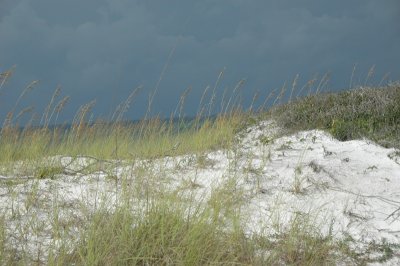 DSC_8657.JPG