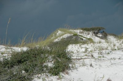 DSC_8660.JPG