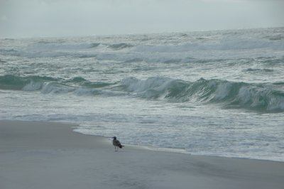 dsc_7960.jpg