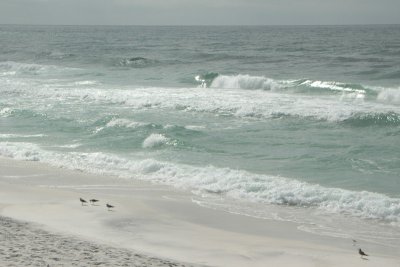 dsc_7976.jpg
