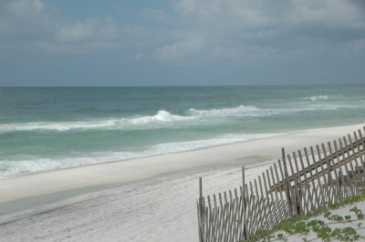 dsc_8061.jpg