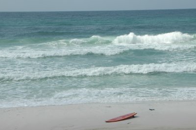 dsc_8064.jpg