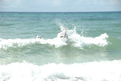 Kelly and Gary are in there somewhere.