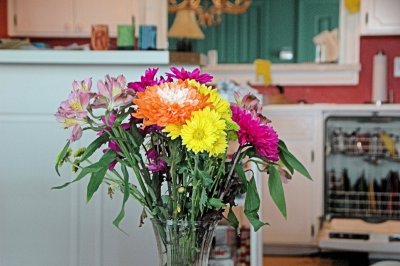 DSC_8540.JPG