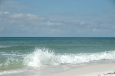 DSC_8291.JPG