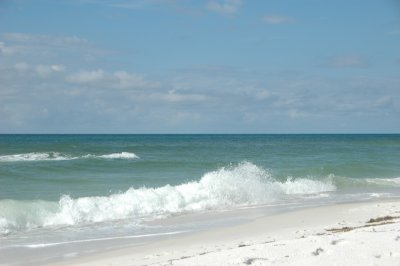 DSC_8293.JPG