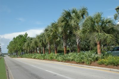 DSC_8557.JPG