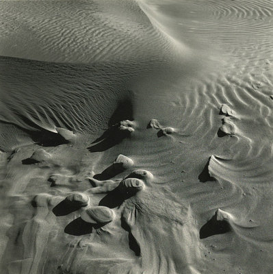 changing sand forms oregon