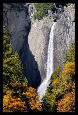 Lower Yosemite Falls & Fall Trees