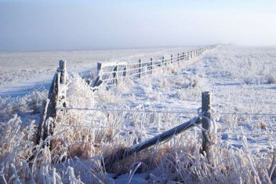 FenceWeb.jpg