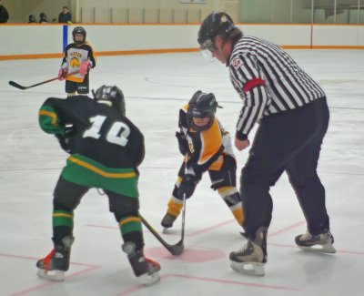 Face Off.jpg