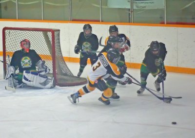 Going for the Puck.jpg