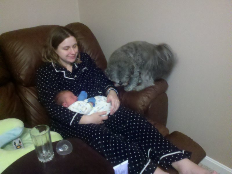 2011-02-03_22-01-46_220.jpg