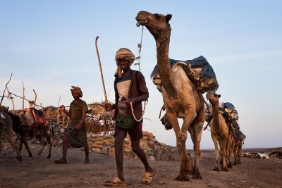 Ethiopia - The Danakil 2