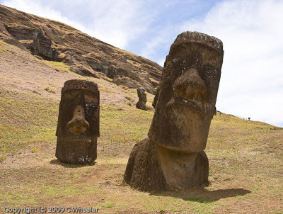 The Moai of Easter Island