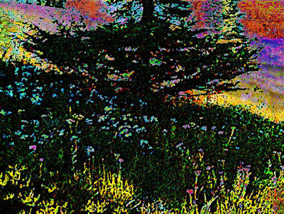 4th (tie)painterly mountain tree