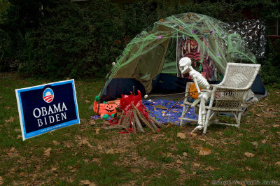 4th place: Skeletons For Obama by Warren Sarle