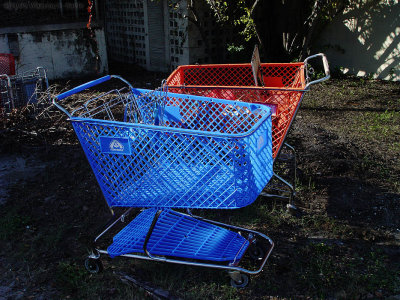 Shopping Carts by Warren Sarle